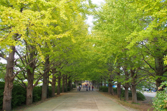 c0042929_20212933.jpg