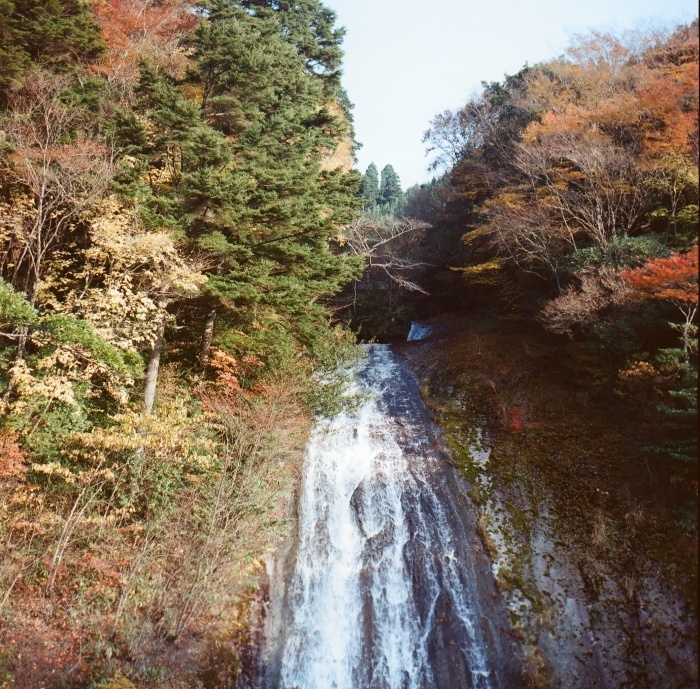 a0255730_20115715.jpg