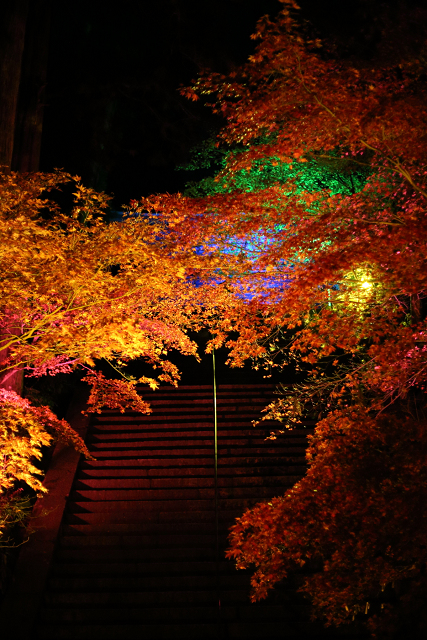 紅葉の比叡山 －延暦寺・紅葉ライトアップ（中編）－_b0169330_21513830.jpg