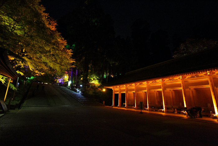 紅葉の比叡山 －延暦寺・紅葉ライトアップ（中編）－_b0169330_2152594.jpg