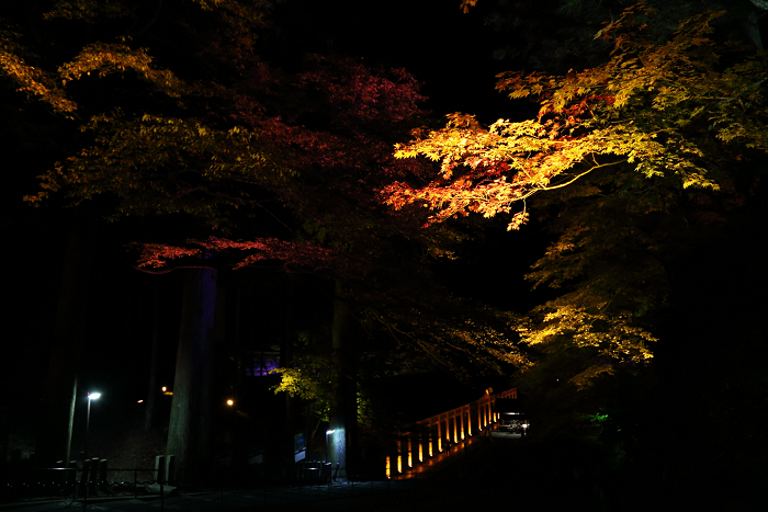 紅葉の比叡山 －延暦寺・紅葉ライトアップ（中編）－_b0169330_21552774.jpg