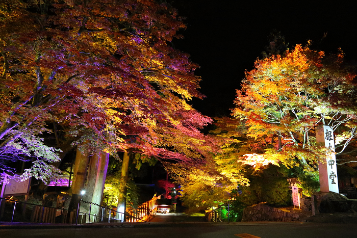 紅葉の比叡山 －延暦寺・紅葉ライトアップ（中編）－_b0169330_21554610.jpg