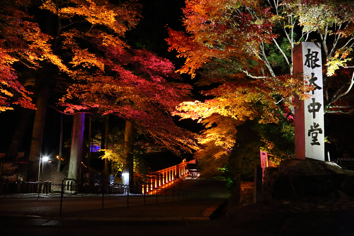 紅葉の比叡山 －延暦寺・紅葉ライトアップ（中編）－_b0169330_22133649.jpg