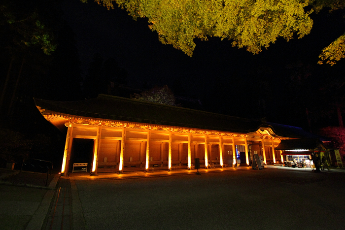 紅葉の比叡山 －延暦寺・紅葉ライトアップ（中編）－_b0169330_2216863.jpg