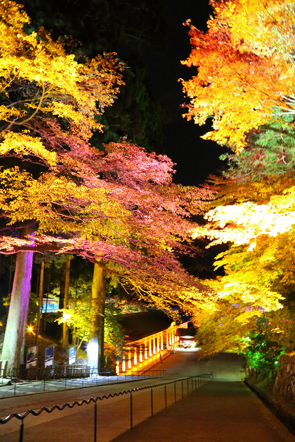 紅葉の比叡山 －延暦寺・紅葉ライトアップ（中編）－_b0169330_222097.jpg