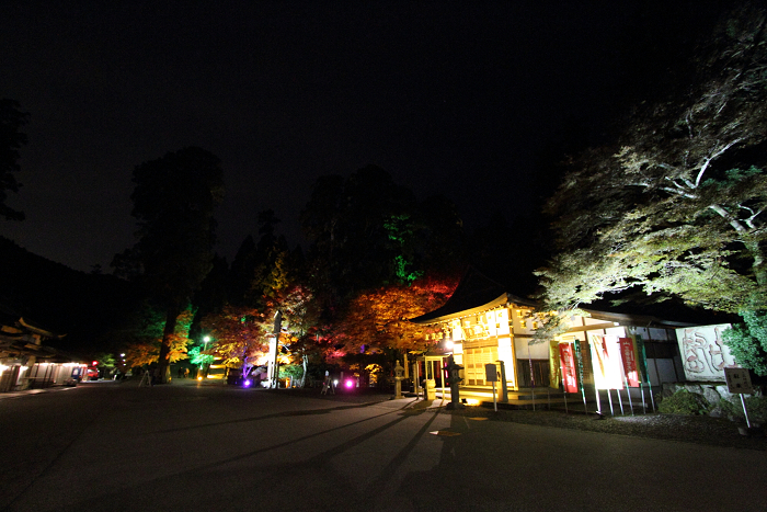 紅葉の比叡山 －延暦寺・紅葉ライトアップ（中編）－_b0169330_22221344.jpg