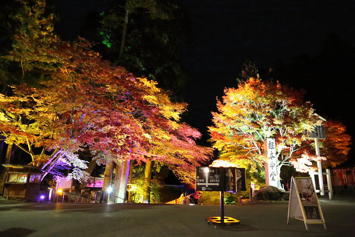 紅葉の比叡山 －延暦寺・紅葉ライトアップ（中編）－_b0169330_22225429.jpg