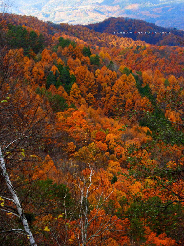 b0104731_20142274.jpg