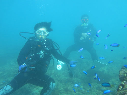 2014年11月3日(月・晴れ)甲浦_d0164831_15152493.jpg
