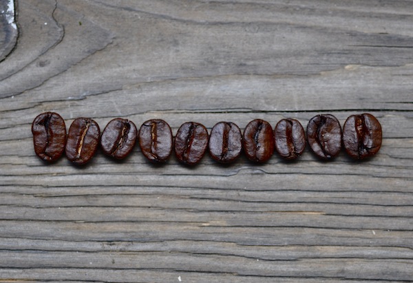 sm coffee_b0172633_13533612.jpg