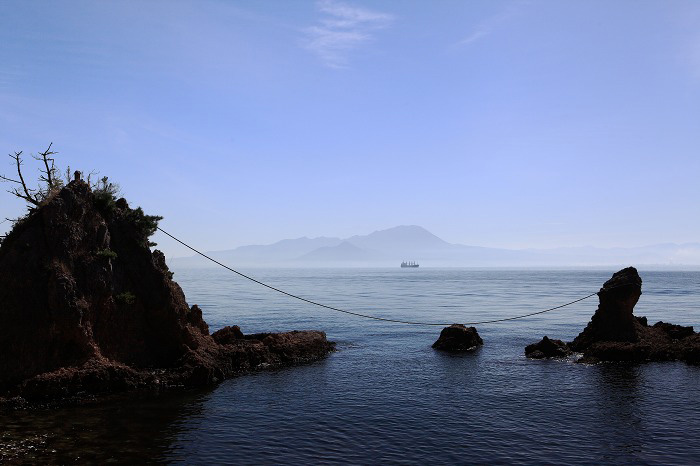 a0294534_842539.jpg