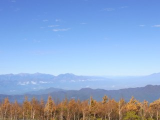 c0088437_11193933.jpg