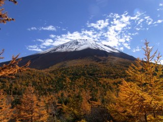 c0088437_11353746.jpg