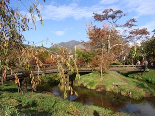 c0088437_1313229.jpg