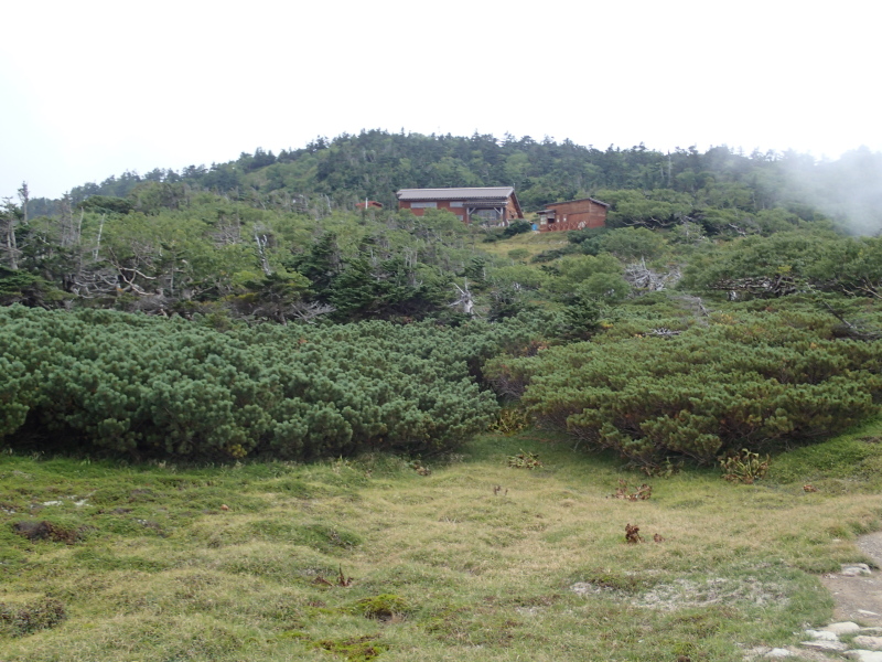 b0190242_8441875.jpg