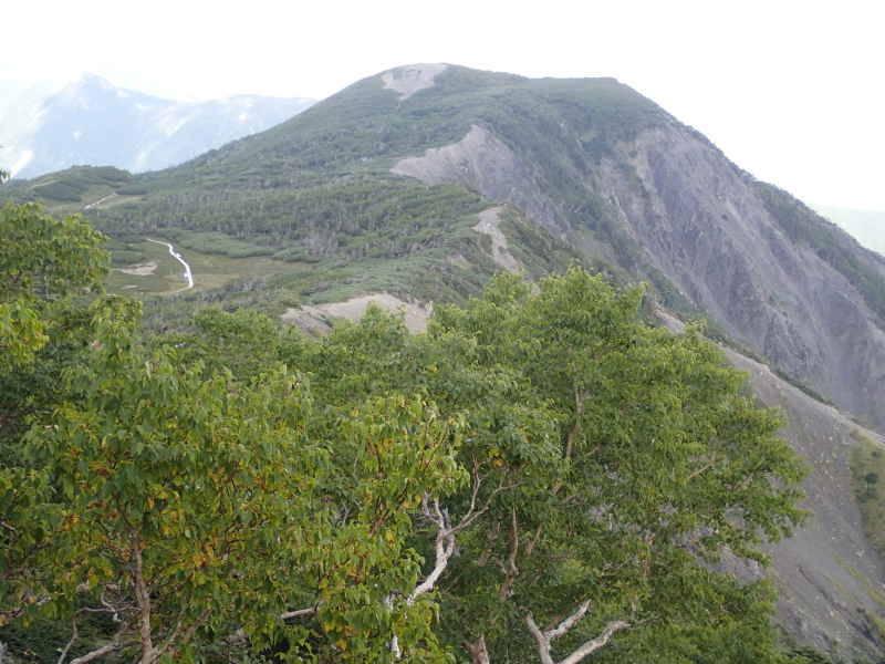 b0190242_848639.jpg