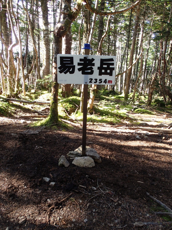 b0190242_8583864.jpg