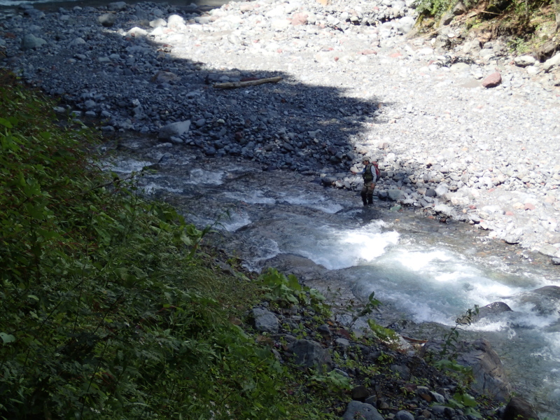 b0190242_912363.jpg