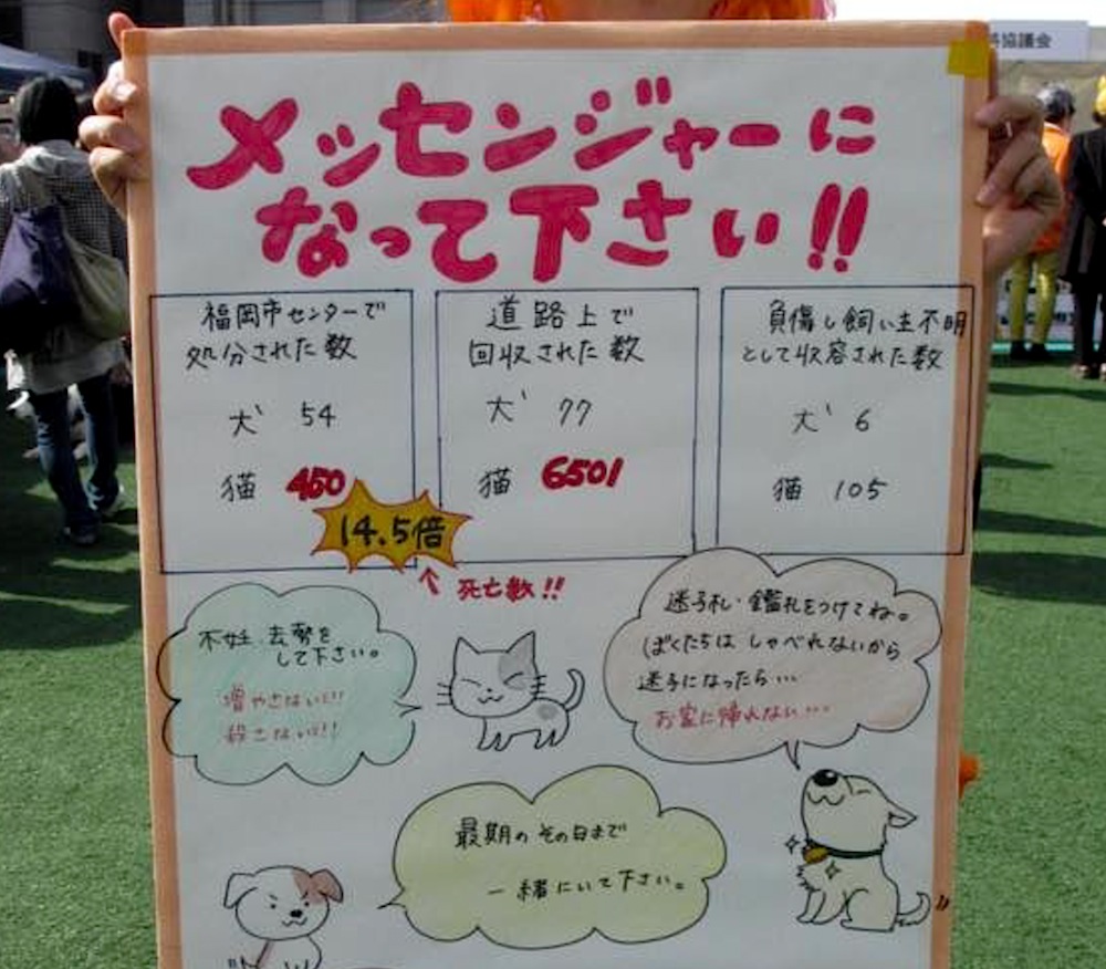 福岡市動物愛護フェス_d0073743_20164980.jpg