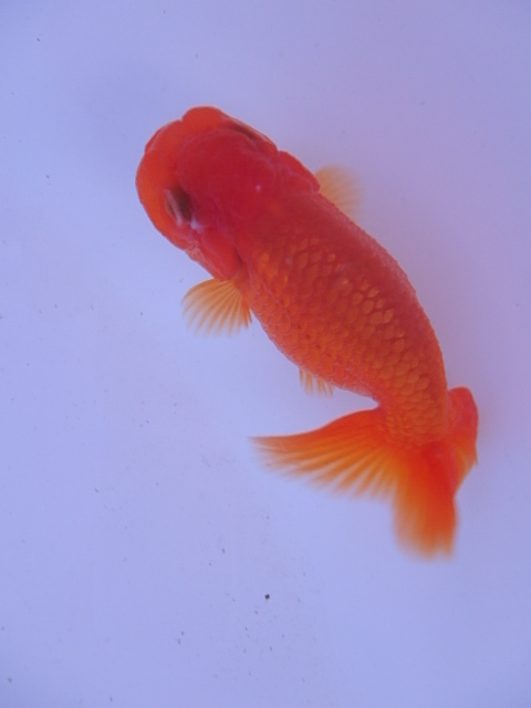 f0334143_19392145.jpg