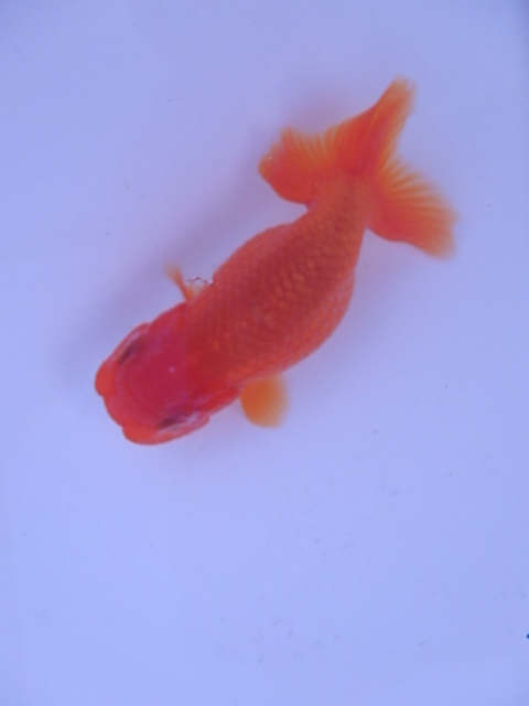 f0334143_19392725.jpg