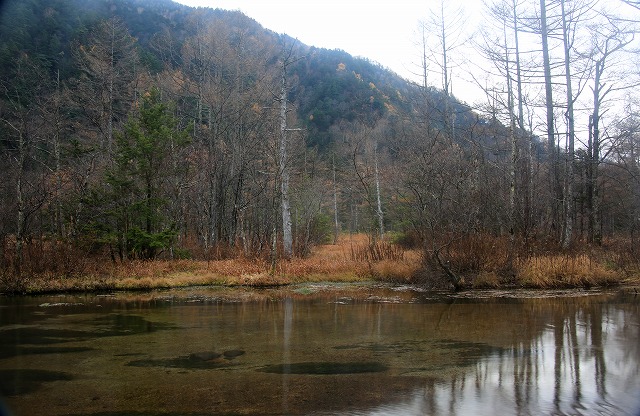 上高地―３、田代池、焼岳_f0288049_8533575.jpg