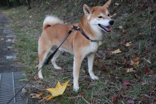 f0245650_20302169.jpg