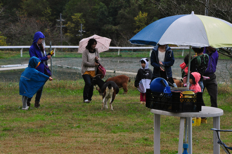 牧場祭　秋　　11/3_b0214652_20270759.jpg