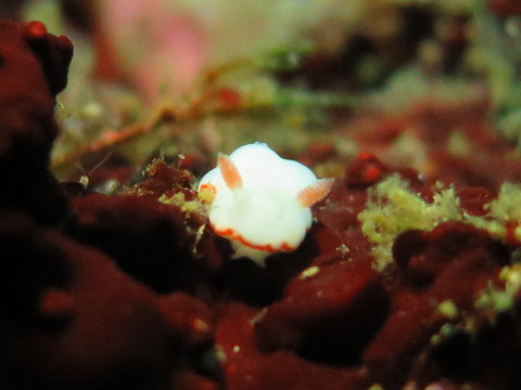 d0076952_11153153.jpg