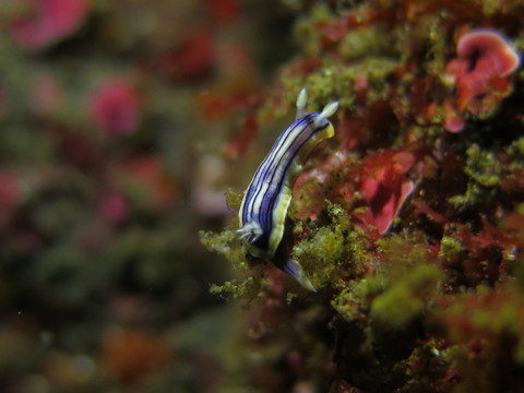 d0076952_11411167.jpg
