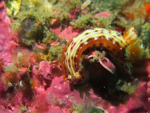 d0076952_11453438.jpg
