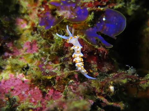 d0076952_1151281.jpg
