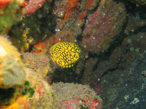 d0076952_16445935.jpg
