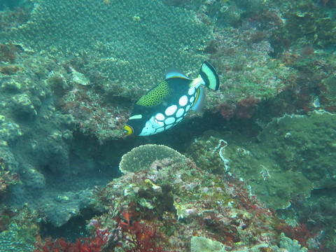 d0076952_16454035.jpg