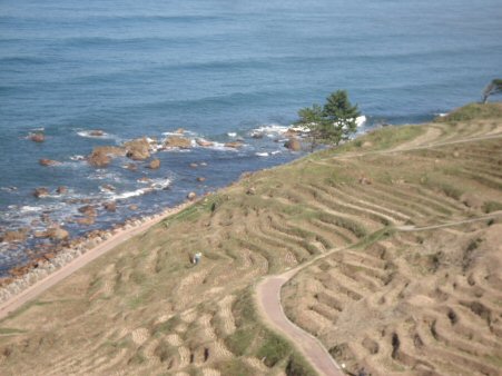 f0329554_02565414.jpg