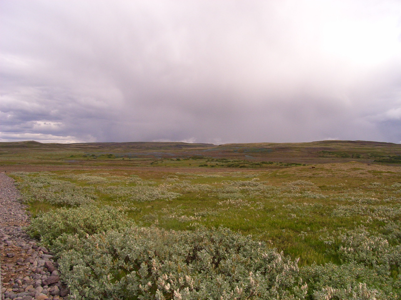 f0257756_014020.jpg
