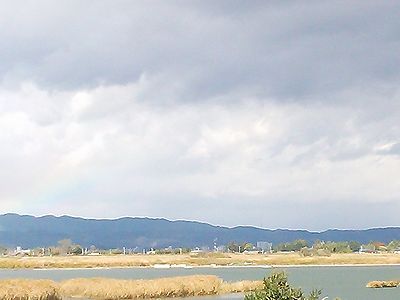 a0096557_12255981.jpg