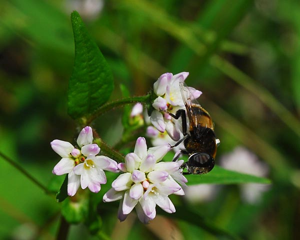 e0035757_00010212.jpg
