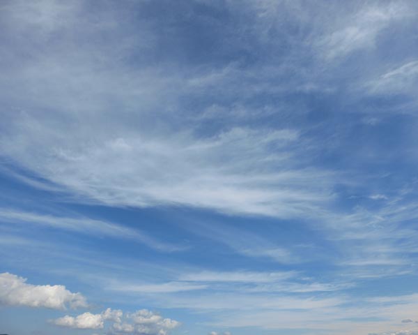 e0035757_00035810.jpg