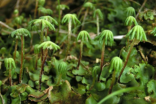 e0035757_00043219.jpg