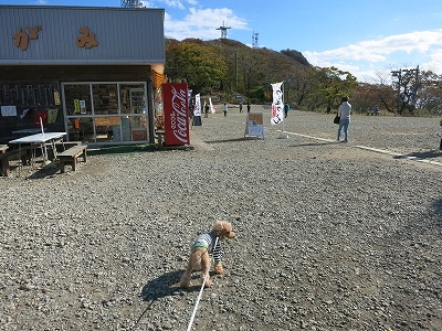 e0170558_23561004.jpg