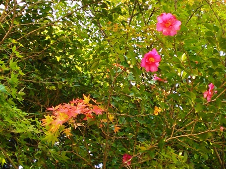 a0251760_1642141.jpg