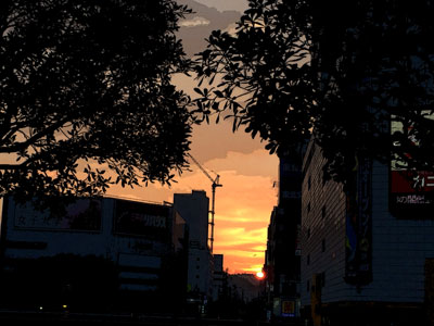 c0050264_17381852.jpg