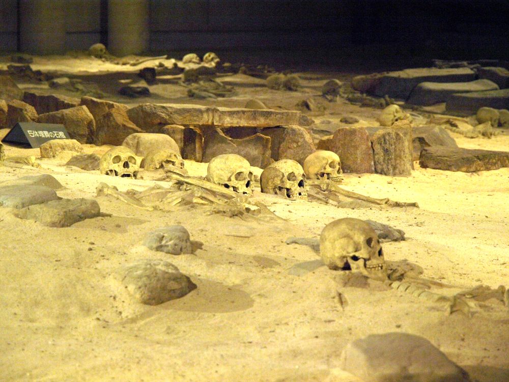 e0030765_9225366.jpg