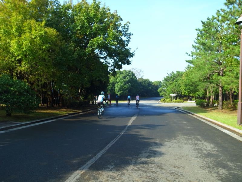a0232368_175633.jpg