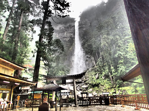 南紀への旅　-1-_e0167571_1124298.jpg