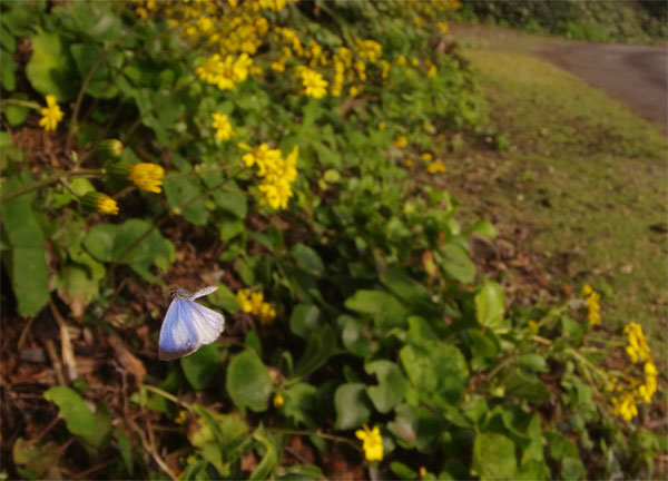 南紀への旅　-1-_e0167571_11272720.jpg