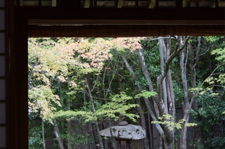 京都 「mood indigo] 絵本と紅茶の会_e0260071_2127913.jpg