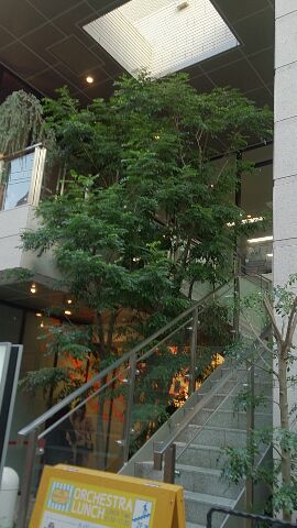 e0212073_0225884.jpg