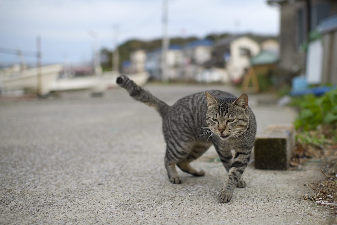 急いで湊ヘ〜〜〜〜_f0011273_16101939.jpg